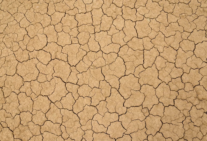 Clay Soil
