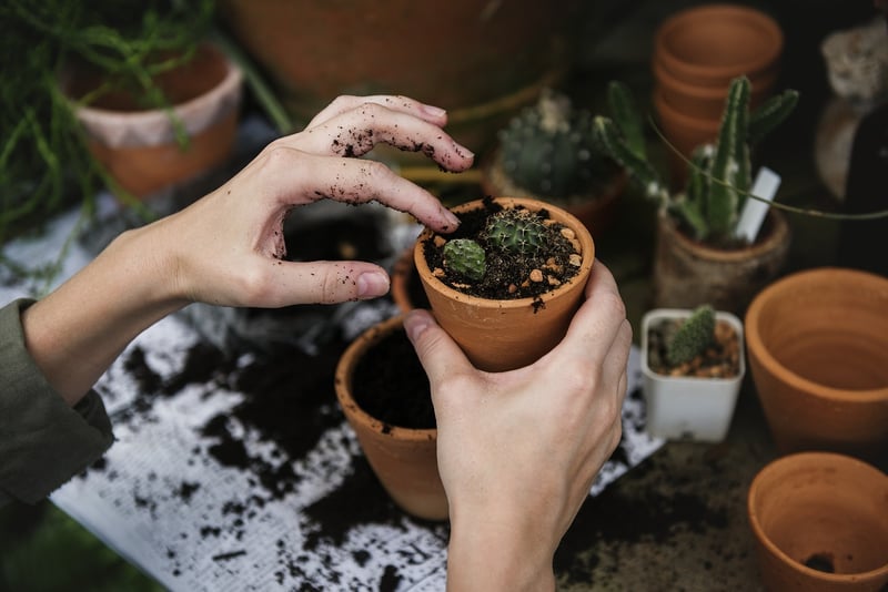 Loamy Soil